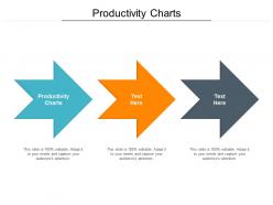 Productivity charts ppt powerpoint presentation gallery templates cpb