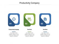 Productivity company ppt powerpoint presentation infographic template tips cpb