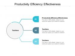 Productivity efficiency effectiveness ppt powerpoint presentation show ideas cpb