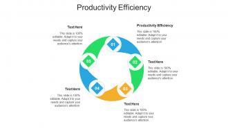 Productivity efficiency ppt powerpoint presentation summary infographics cpb