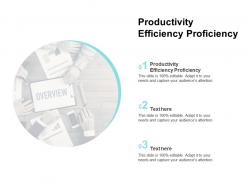 Productivity efficiency proficiency ppt powerpoint presentation gallery background cpb