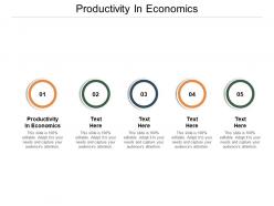 Productivity in economics ppt powerpoint presentation gallery ideas cpb