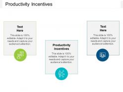 Productivity incentives ppt powerpoint presentation icon maker cpb