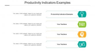 Productivity Indicators Examples Ppt Powerpoint Presentation Ideas Download Cpb