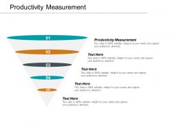 Productivity measurement ppt powerpoint presentation layouts templates cpb