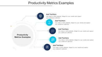 Productivity Metrics Examples In Powerpoint And Google Slides Cpb