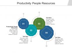 Productivity people resources ppt powerpoint presentation infographic template templates cpb