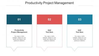 Productivity Project Management Ppt Powerpoint Presentation Infographic Template Cpb