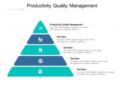 Productivity quality management ppt powerpoint presentation ideas cpb