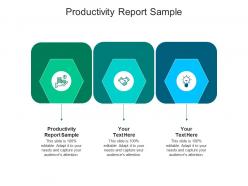 Productivity report sample ppt powerpoint presentation file model cpb