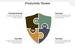 Productivity review ppt powerpoint presentation inspiration deck cpb