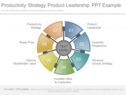 Productivity strategy product leadership ppt example