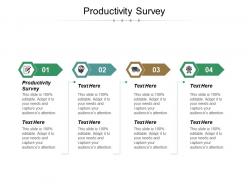Productivity survey ppt powerpoint presentation file professional cpb