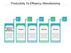 Productivity vs efficiency manufacturing ppt powerpoint presentation ideas topics cpb
