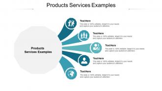 Products services examples ppt powerpoint presentation infographic template example 2015 cpb