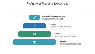 Professional accountant accounting ppt powerpoint presentation inspiration cpb