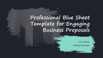 Professional Blue Sheet Template For Engaging Business Proposals PPT H