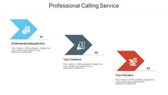 Professional calling service ppt powerpoint presentation styles mockup cpb