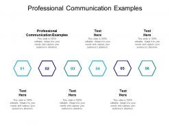 Professional communication examples ppt powerpoint presentation outline format cpb