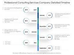 Professional consulting services company detailed timeline