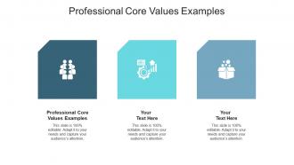 Professional core values examples ppt powerpoint presentation pictures objects cpb
