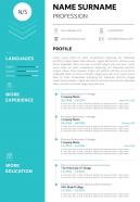 Professional cv sample template with profile summary