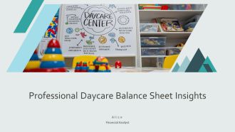 Professional Daycare Balance Sheet Insights PPT Structure AT