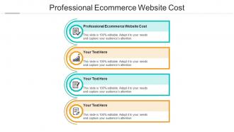 Professional ecommerce website cost ppt powerpoint presentation outline infographic template cpb