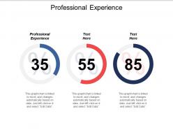 Professional experience ppt powerpoint presentation gallery themes cpb