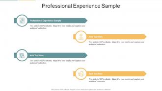 Professional Experience Sample In Powerpoint And Google Slides Cpb