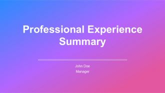 Professional Experience Summary PPT Information AT