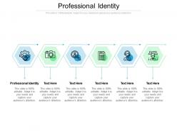 Professional identity ppt powerpoint presentation file design inspiration cpb