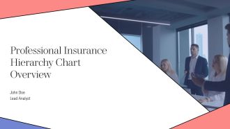 Professional Insurance Hierarchy Chart Overview PPT Structure AT