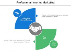 Professional internet marketing ppt powerpoint presentation ideas deck cpb