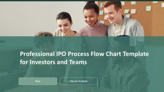 Professional Ipo Process Flow Chart Template For Investors And Teams PPT H