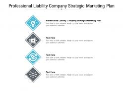 Professional liability company strategic marketing plan ppt powerpoint presentation layouts cpb