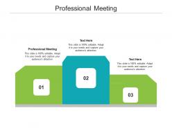 Professional meeting ppt powerpoint presentation gallery clipart images cpb