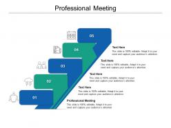 Professional meeting ppt powerpoint presentation infographic template elements cpb