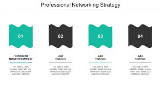 Professional Networking Strategy Ppt Powerpoint Presentation Portfolio Files Cpb