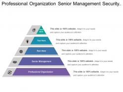 Professional organization senior management security department financial analysis