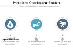 Professional organizational structure ppt powerpoint presentation infographic template slide cpb