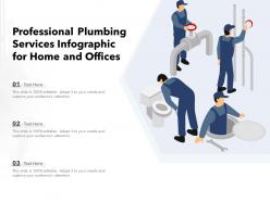Professional plumbing services infographic for home and offices