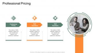 Professional Pricing In Powerpoint And Google Slides Cpb