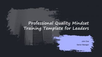 Professional Quality Mindset Training Template For Leaders PPT H