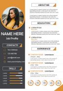 Professional resume illustration cv design template