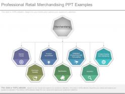 Professional retail merchandising ppt examples