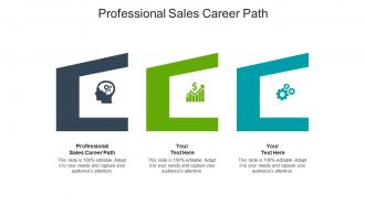 Professional sales career path ppt powerpoint presentation slides graphics cpb