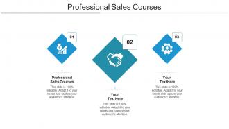 Professional sales courses ppt powerpoint presentation portfolio good cpb