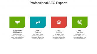 Professional seo experts ppt powerpoint presentation outline inspiration cpb