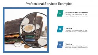 Professional services examples ppt powerpoint presentation file layouts cpb